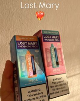 lost mary​